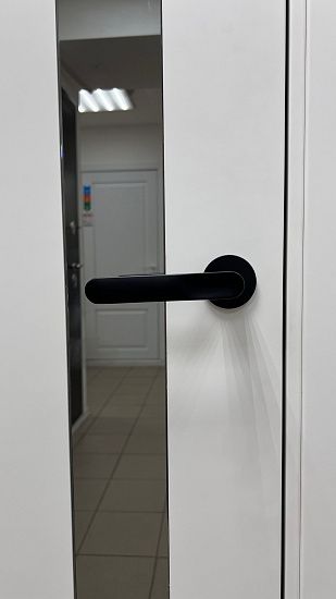 Межкомнатная дверь  