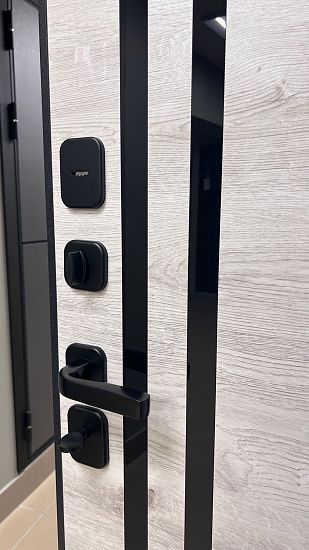 Входная дверь  