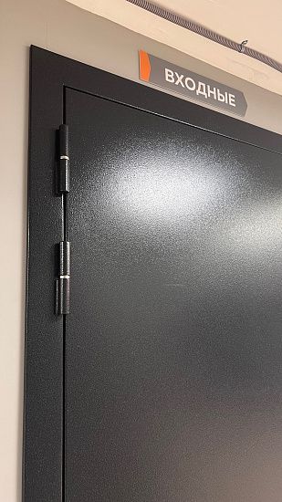 Входная дверь  